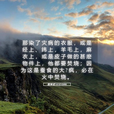 Picture 05 - 利 未 记 13:52 CUVS - 那 染 了 灾 病 的 衣 服 ， 或 是 经 - Bible Verse Picture
