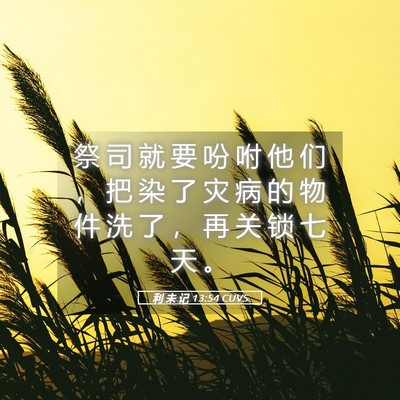 Picture 05 - 利 未 记 13:54 CUVS - 祭 司 就 要 吩 咐 他 们 ， 把 染 了 - Bible Verse Picture
