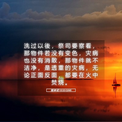 Picture 05 - 利 未 记 13:55 CUVS - 洗 过 以 後 ， 祭 司 要 察 看 ， 那 - Bible Verse Picture