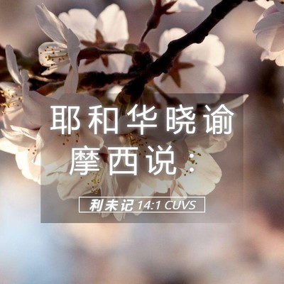 Picture 05 - 利 未 记 14:1 CUVS - 耶 和 华 晓 谕 摩 西 说 - Bible Verse Picture