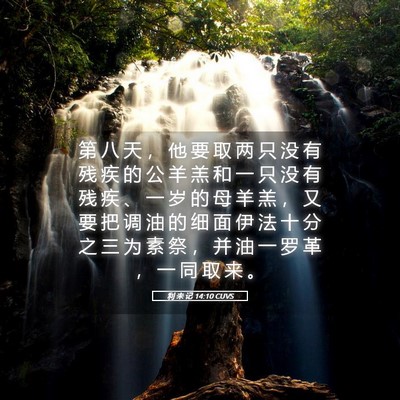 Picture 05 - 利 未 记 14:10 CUVS - 第 八 天 ， 他 要 取 两 只 没 有 残 - Bible Verse Picture