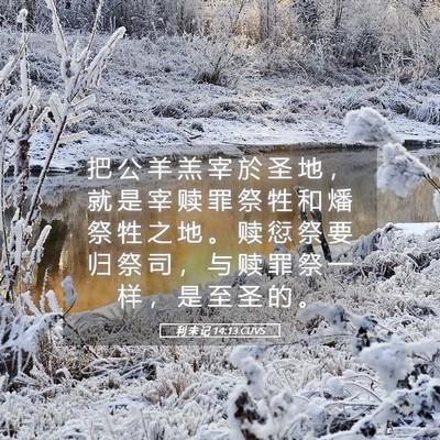 Picture 05 - 利 未 记 14:13 CUVS - 把 公 羊 羔 宰 於 圣 地 ， 就 是 宰 - Bible Verse Picture