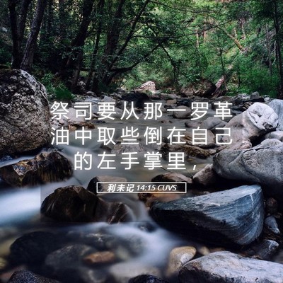 Picture 05 - 利 未 记 14:15 CUVS - 祭 司 要 从 那 一 罗 革 油 中 取 些 - Bible Verse Picture