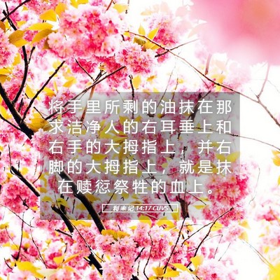 Picture 05 - 利 未 记 14:17 CUVS - 将 手 里 所 剩 的 油 抹 在 那 求 洁 - Bible Verse Picture