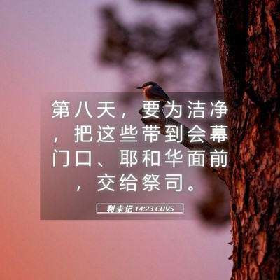 Picture 05 - 利 未 记 14:23 CUVS - 第 八 天 ， 要 为 洁 净 ， 把 这 些 - Bible Verse Picture