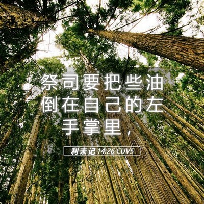 Picture 05 - 利 未 记 14:26 CUVS - 祭 司 要 把 些 油 倒 在 自 己 的 左 - Bible Verse Picture