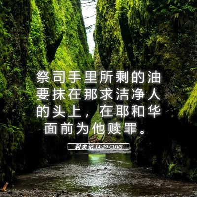 Picture 05 - 利 未 记 14:29 CUVS - 祭 司 手 里 所 剩 的 油 要 抹 在 那 - Bible Verse Picture