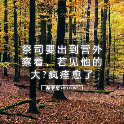 Picture 05 - 利 未 记 14:3 CUVS - 祭 司 要 出 到 营 外 察 看 ， 若 见 - Bible Verse Picture