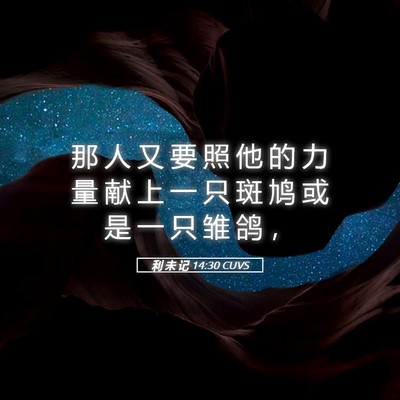 Picture 05 - 利 未 记 14:30 CUVS - 那 人 又 要 照 他 的 力 量 献 上 一 - Bible Verse Picture