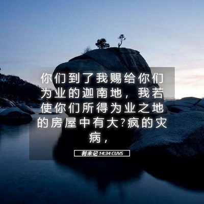 Picture 05 - 利 未 记 14:34 CUVS - 你 们 到 了 我 赐 给 你 们 为 业 的 - Bible Verse Picture