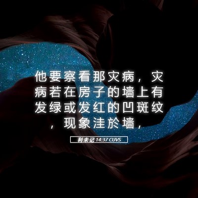 Picture 05 - 利 未 记 14:37 CUVS - 他 要 察 看 那 灾 病 ， 灾 病 若 在 - Bible Verse Picture