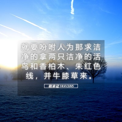 Picture 05 - 利 未 记 14:4 CUVS - 就 要 吩 咐 人 为 那 求 洁 净 的 拿 - Bible Verse Picture