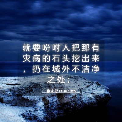 Picture 05 - 利 未 记 14:40 CUVS - 就 要 吩 咐 人 把 那 有 灾 病 的 石 - Bible Verse Picture