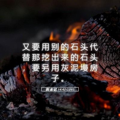 Picture 05 - 利 未 记 14:42 CUVS - 又 要 用 别 的 石 头 代 替 那 挖 出 - Bible Verse Picture
