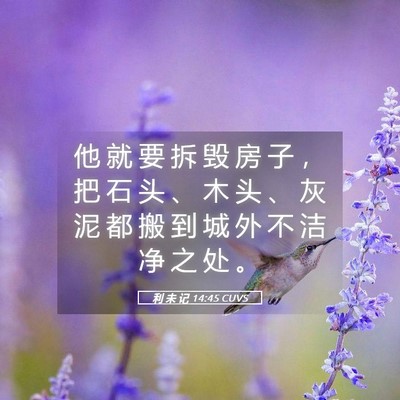 Picture 05 - 利 未 记 14:45 CUVS - 他 就 要 拆 毁 房 子 ， 把 石 头 、 - Bible Verse Picture