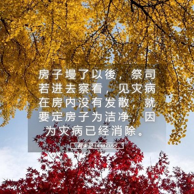 Picture 05 - 利 未 记 14:48 CUVS - 房 子 墁 了 以 後 ， 祭 司 若 进 去 - Bible Verse Picture