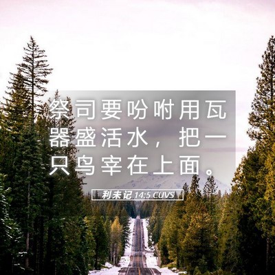 Picture 05 - 利 未 记 14:5 CUVS - 祭 司 要 吩 咐 用 瓦 器 盛 活 水 ， - Bible Verse Picture