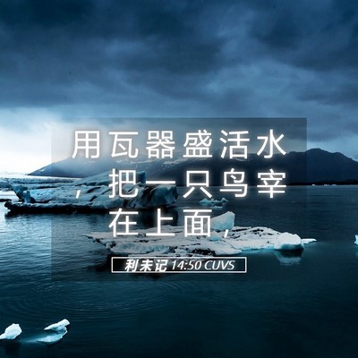 Picture 05 - 利 未 记 14:50 CUVS - 用 瓦 器 盛 活 水 ， 把 一 只 鸟 宰 - Bible Verse Picture