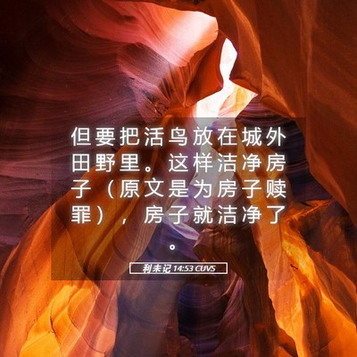 Picture 05 - 利 未 记 14:53 CUVS - 但 要 把 活 鸟 放 在 城 外 田 野 里 - Bible Verse Picture