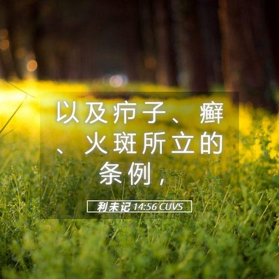 Picture 05 - 利 未 记 14:56 CUVS - 以 及 疖 子 、 癣 、 火 斑 所 立 的 - Bible Verse Picture