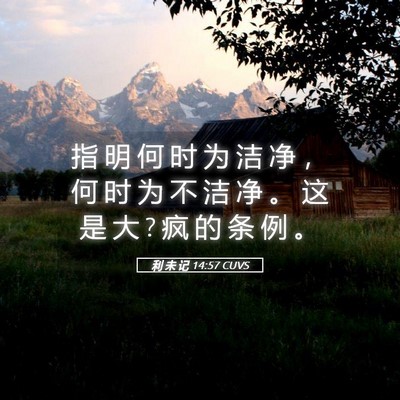 Picture 05 - 利 未 记 14:57 CUVS - 指 明 何 时 为 洁 净 ， 何 时 为 不 - Bible Verse Picture