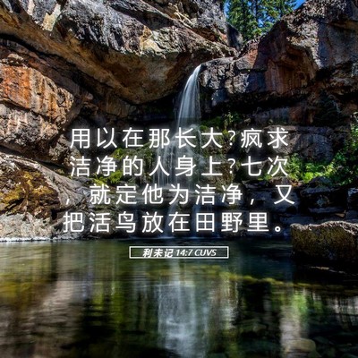 Picture 05 - 利 未 记 14:7 CUVS - 用 以 在 那 长 大 ? 疯 求 洁 净 的 人 - Bible Verse Picture