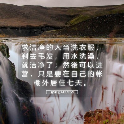 Picture 05 - 利 未 记 14:8 CUVS - 求 洁 净 的 人 当 洗 衣 服 ， 剃 去 - Bible Verse Picture