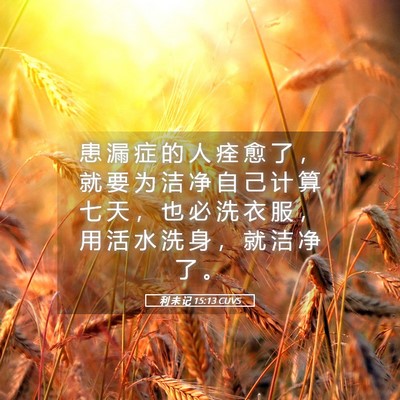 Picture 05 - 利 未 记 15:13 CUVS - 患 漏 症 的 人 痊 愈 了 ， 就 要 为 - Bible Verse Picture