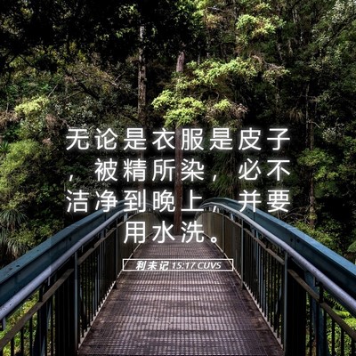 Picture 05 - 利 未 记 15:17 CUVS - 无 论 是 衣 服 是 皮 子 ， 被 精 所 - Bible Verse Picture