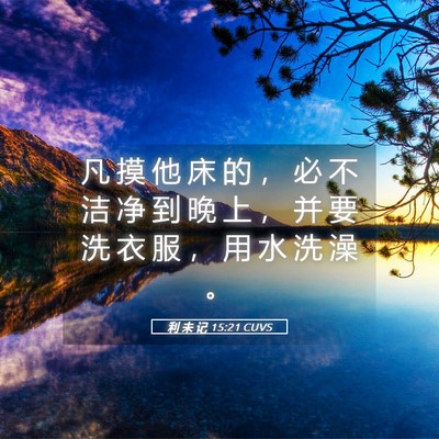 Picture 05 - 利 未 记 15:21 CUVS - 凡 摸 他 床 的 ， 必 不 洁 净 到 晚 - Bible Verse Picture