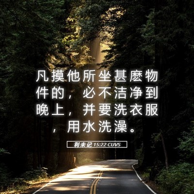 Picture 05 - 利 未 记 15:22 CUVS - 凡 摸 他 所 坐 甚 麽 物 件 的 ， 必 - Bible Verse Picture
