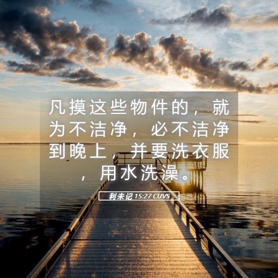 Picture 05 - 利 未 记 15:27 CUVS - 凡 摸 这 些 物 件 的 ， 就 为 不 洁 - Bible Verse Picture