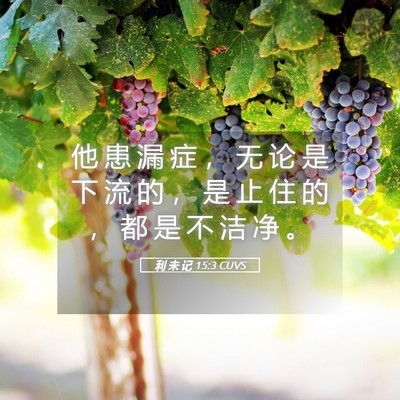 Picture 05 - 利 未 记 15:3 CUVS - 他 患 漏 症 ， 无 论 是 下 流 的 ， - Bible Verse Picture