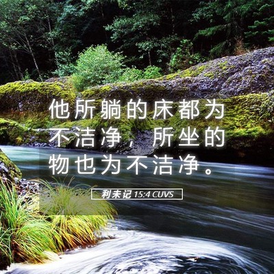 Picture 05 - 利 未 记 15:4 CUVS - 他 所 躺 的 床 都 为 不 洁 净 ， 所 - Bible Verse Picture