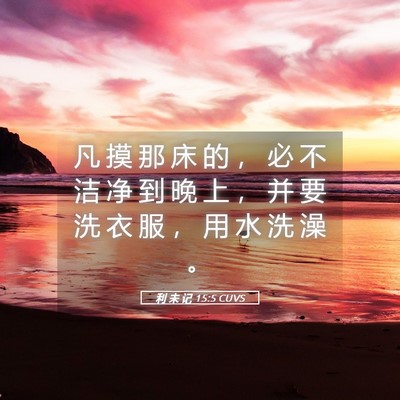 Picture 05 - 利 未 记 15:5 CUVS - 凡 摸 那 床 的 ， 必 不 洁 净 到 晚 - Bible Verse Picture