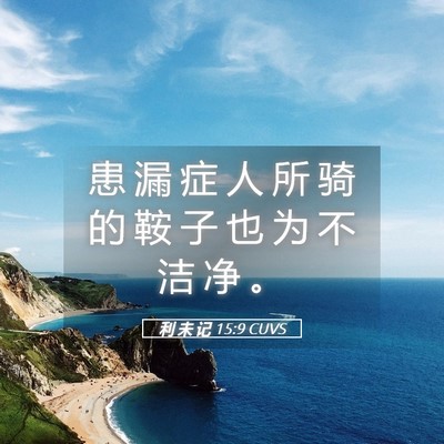 Picture 05 - 利 未 记 15:9 CUVS - 患 漏 症 人 所 骑 的 鞍 子 也 为 不 - Bible Verse Picture