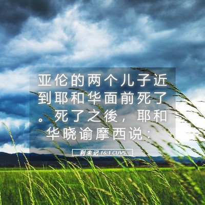 Picture 05 - 利 未 记 16:1 CUVS - 亚 伦 的 两 个 儿 子 近 到 耶 和 华 - Bible Verse Picture