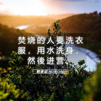 Picture 05 - 利 未 记 16:28 CUVS - 焚 烧 的 人 要 洗 衣 服 ， 用 水 洗 - Bible Verse Picture