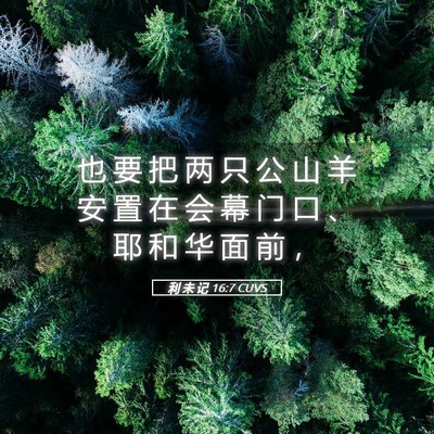 Picture 05 - 利 未 记 16:7 CUVS - 也 要 把 两 只 公 山 羊 安 置 在 会 - Bible Verse Picture