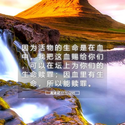 Picture 05 - 利 未 记 17:11 CUVS - 因 为 活 物 的 生 命 是 在 血 中 。 - Bible Verse Picture