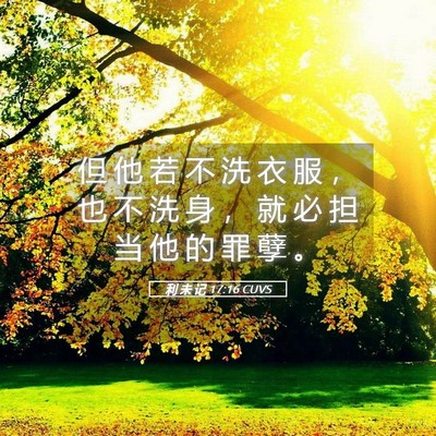 Picture 05 - 利 未 记 17:16 CUVS - 但 他 若 不 洗 衣 服 ， 也 不 洗 身 - Bible Verse Picture