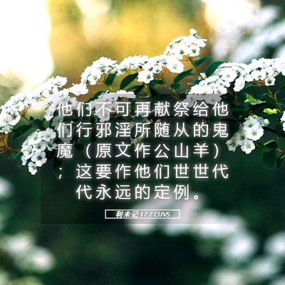 Picture 05 - 利 未 记 17:7 CUVS - 他 们 不 可 再 献 祭 给 他 们 行 邪 - Bible Verse Picture