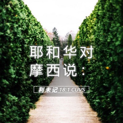 Picture 05 - 利 未 记 18:1 CUVS - 耶 和 华 对 摩 西 说 - Bible Verse Picture