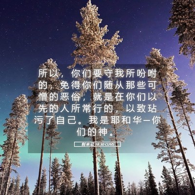Picture 05 - 利 未 记 18:30 CUVS - 所 以 ， 你 们 要 守 我 所 吩 咐 的 - Bible Verse Picture