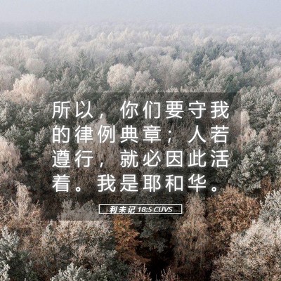 Picture 05 - 利 未 记 18:5 CUVS - 所 以 ， 你 们 要 守 我 的 律 例 典 - Bible Verse Picture