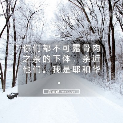 Picture 05 - 利 未 记 18:6 CUVS - 你 们 都 不 可 露 骨 肉 之 亲 的 下 - Bible Verse Picture