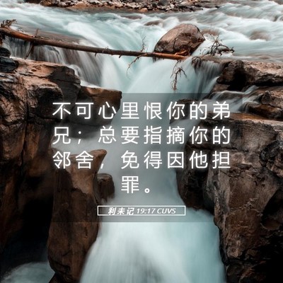 Picture 05 - 利 未 记 19:17 CUVS - 不 可 心 里 恨 你 的 弟 兄 ； 总 要 - Bible Verse Picture