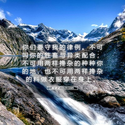 Picture 05 - 利 未 记 19:19 CUVS - 你 们 要 守 我 的 律 例 。 不 可 叫 - Bible Verse Picture