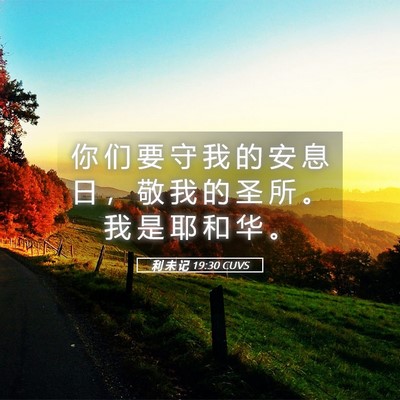 Picture 05 - 利 未 记 19:30 CUVS - 你 们 要 守 我 的 安 息 日 ， 敬 我 - Bible Verse Picture