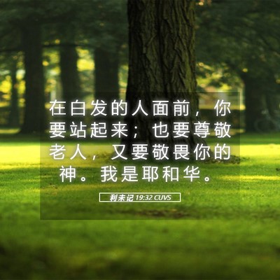 Picture 05 - 利 未 记 19:32 CUVS - 在 白 发 的 人 面 前 ， 你 要 站 起 - Bible Verse Picture